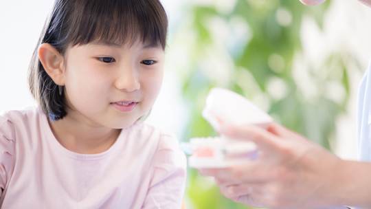 鹿児島市・鹿児島の矯正歯科治療