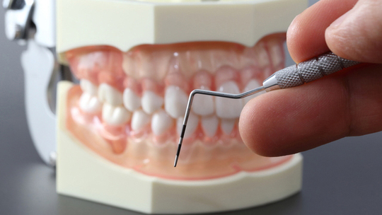 鹿児島市のおすすめ歯医者・歯科・歯科医院なら｜毛利歯科クリニック